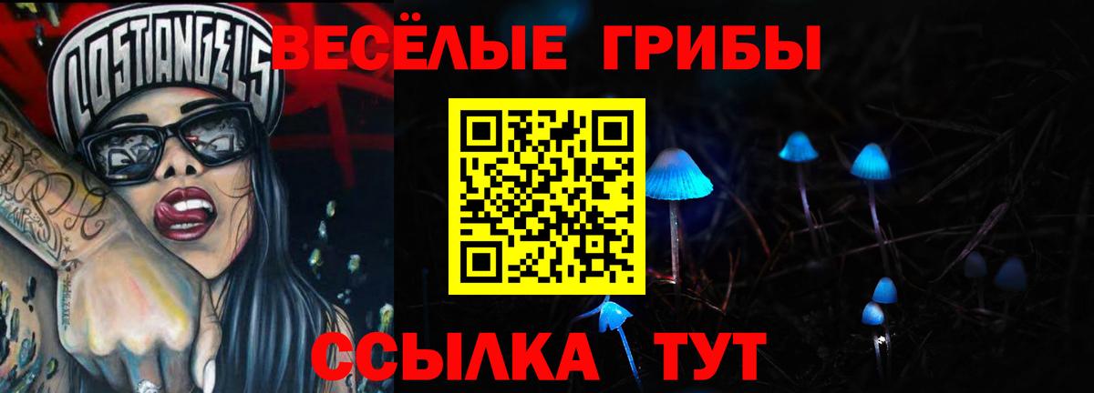 Галлюциногенные грибы MAGIC MUSHROOMS  даркнет сайт  Новочебоксарск  Галлюциногенные грибы MAGIC MUSHROOMS  Вход с VPN 