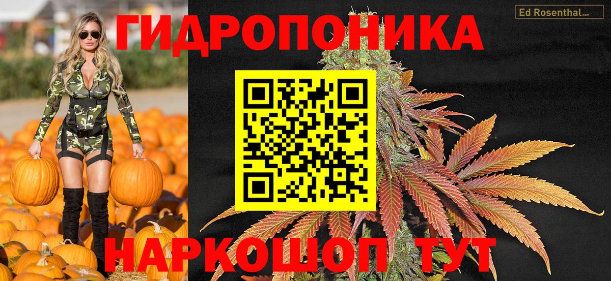 Бошки марихуана конопля Новочебоксарск